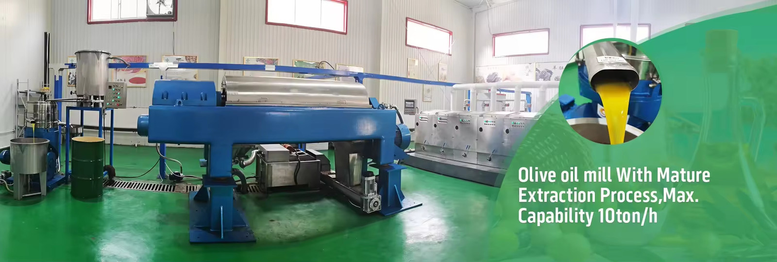 아보카도 오일 기계