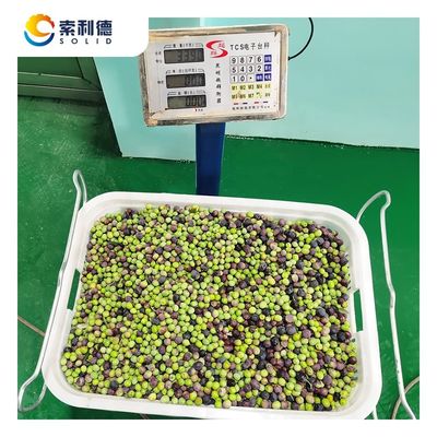고유출력 13.5% EVOO-500 올리브 오일 추출 기계 2 단계 분리