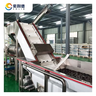 CPAO-1000 1000kg/h 처녀 아보카도 오일 제조 기계 및 냉압 생산 라인
