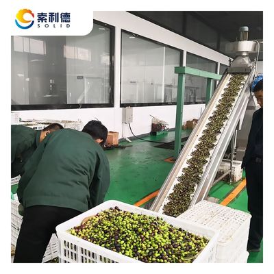 130kW 전력 EVOO-5000 5000KG/H 기름에 대한 초녀 올리브 오일 처리 공장