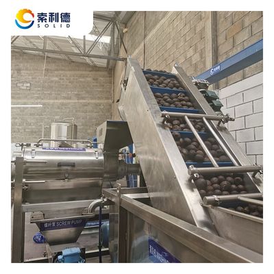 500KG/H 냉압 아보카도 오일 추출 라인