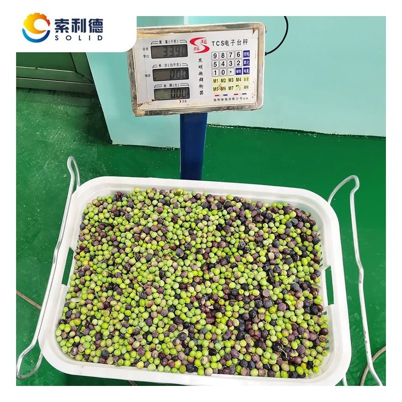 고유출력 13.5% EVOO-500 올리브 오일 추출 기계 2 단계 분리