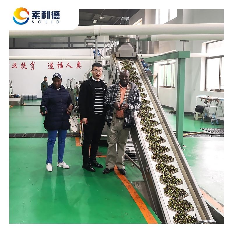 고유출력 올리브 오일 추출 기계 원심분리 방법 EVOO-3500 3-4TPH